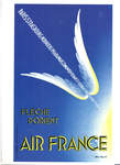   "AIR FRANCE" --   . 8  1980 .